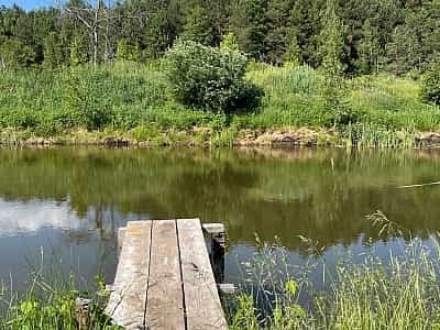 Озеро в загородном комплексе "УЛІС" в селе Дудки, что под Киевом