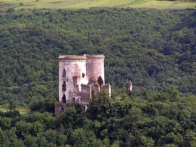 Руины Червоногородского замка в селе Нырков