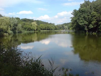 Дидоровские озёра в Голосеевском парке