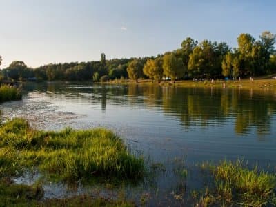 озеро Хома под Киевом