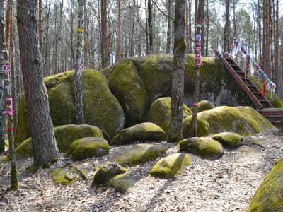 Каменное село Олевск