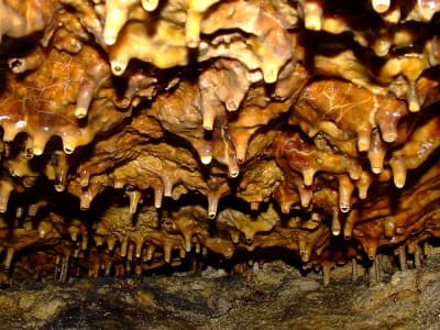Пещера Вертеба находится в Тернопольской области. До неё можно доехать общественным транспортом из Борщова, или же своим ходом - нужно повернуть направо перед селом Бильче-Золотое.