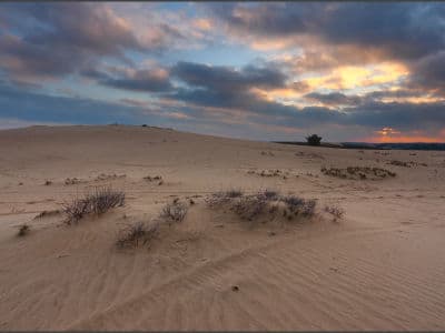 Кицевская пустыня - уникальный природный памянтик Украины, где можно отдохнуть и "словить" дзэн.