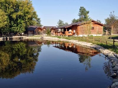 База отдыха «Зеленый гай» находится в Киевской области, населенном пункте Летки, на улице Чоповского, 28, в 30 километрах от столицы Украины.
