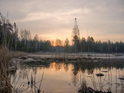 Национальный природный парк «Слобожанский». Отзывы посетителей.