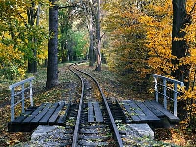 Львовская детская железная дорога в Стрыйском парке.