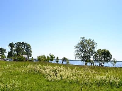 Озеро Люцимер в Волынской области