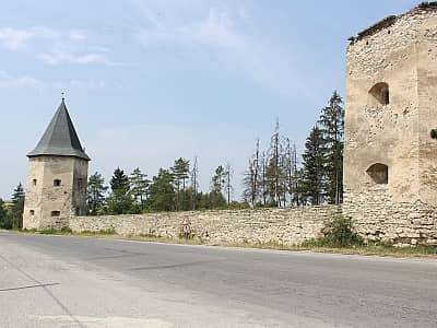 Кривченский замок или Замок Контских в Тернопольской области