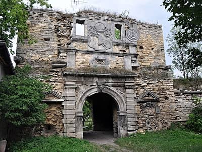 Чернелицкий замок в Ивано-Франковской области