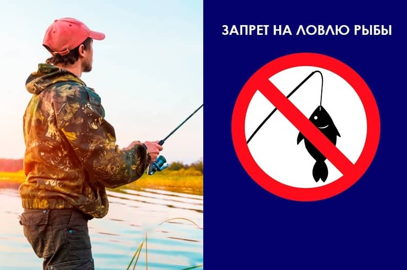 Лов рыбы разрешение. Запрет на рыбалку. Рыбалка запрещена. Запрет ловли рыбы. Запрет на вылов рыбы.