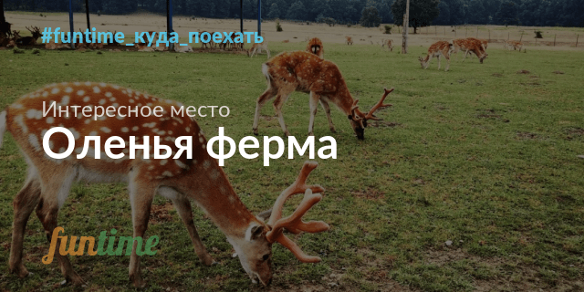 Оленья ферма план